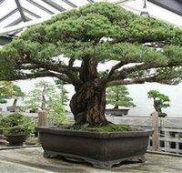 Peards Complex Albury - E Caravan Parks