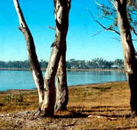 Lake Broadwater Conservation Park - E Caravan Parks