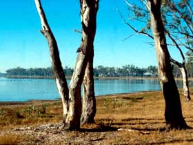 Lake Broadwater Conservation Park - E Caravan Parks 0