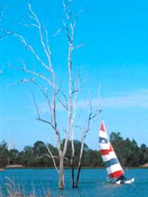 Lake Broadwater Conservation Park - E Caravan Parks 2