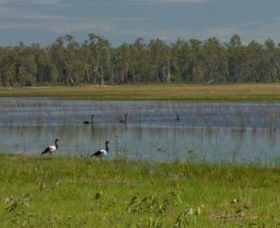 Lake Broadwater Conservation Park - E Caravan Parks 1