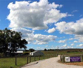 Short Sheep Micro-Winery - E Caravan Parks 8
