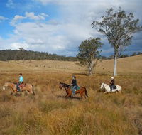 Chapman Valley Horse Riding - E Caravan Parks