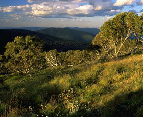 Namadgi National Park And Visitors Centre - E Caravan Parks 2
