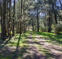 Wombeyan Waterfall walking track - E Caravan Parks