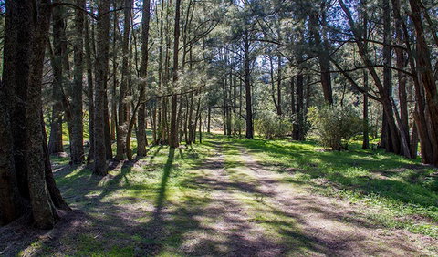 Wombeyan Waterfall Walking Track - E Caravan Parks 0