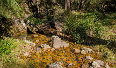 Wombeyan Waterfall Walking Track - E Caravan Parks 1