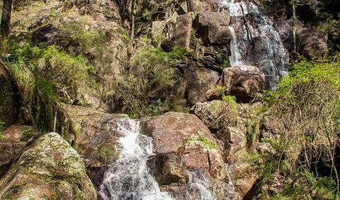 Wombeyan Waterfall Walking Track - E Caravan Parks 3