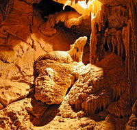 Fig Tree Cave - E Caravan Parks