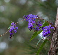 Mann River Nature Reserve - E Caravan Parks