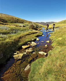 Sawpit Creek NSW E Caravan Parks