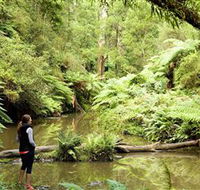 Morwell National Park - E Caravan Parks