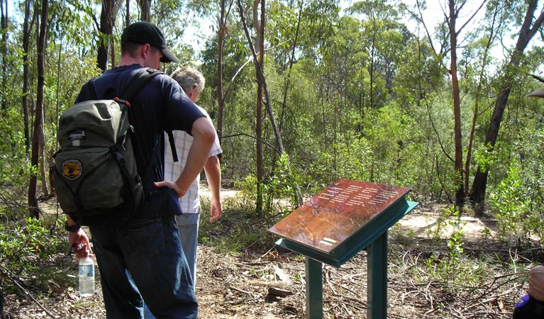 Laguna NSW E Caravan Parks