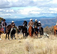Snowy Wilderness - E Caravan Parks