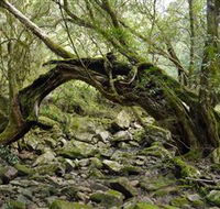 Mitchell River Walking Track - E Caravan Parks