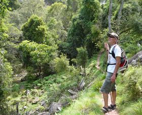 Mitchell River Walking Track - E Caravan Parks 1