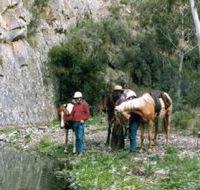 Yarramba Horse Riding - E Caravan Parks