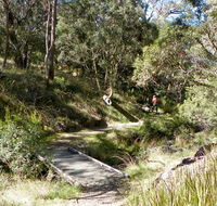 Wollomombi walking track - E Caravan Parks