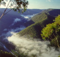 Long Point Lookout