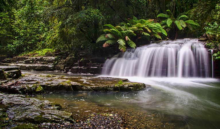 Fosterton NSW E Caravan Parks