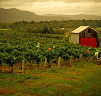 Around Hermitage Wine and Food Trail Hunter Valley - E Caravan Parks