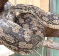 Armadale Reptile Centre - E Caravan Parks