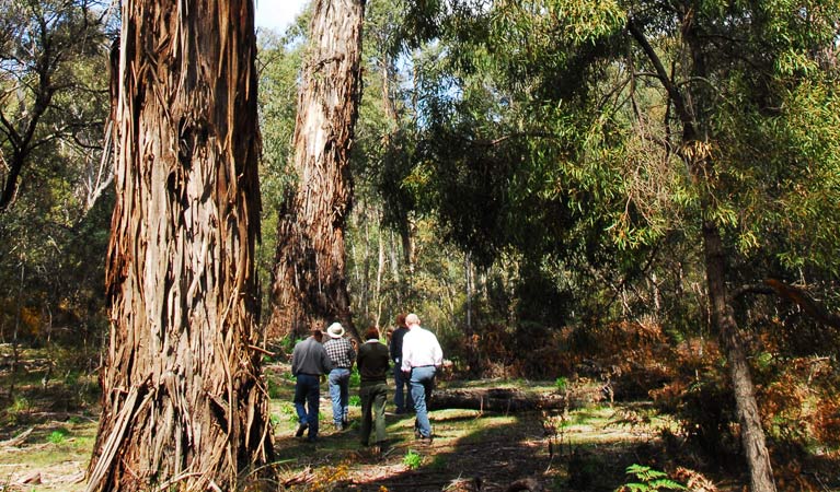 Araluen NSW E Caravan Parks