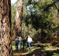 Tallaganda National Park - E Caravan Parks
