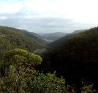 Nattai Gorge Lookout - E Caravan Parks
