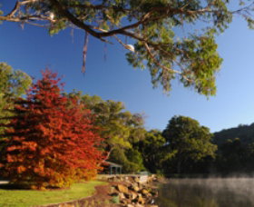 Lake Alexandra Reserve - E Caravan Parks 1