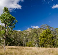 Brush Turkey track - E Caravan Parks