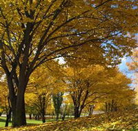 Centennial Park at Cooma - E Caravan Parks