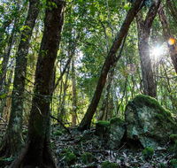 Copeland Tops State Conservation Area - E Caravan Parks