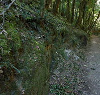 Hidden Treasure track - E Caravan Parks