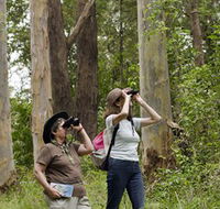 Chichester State Forest - E Caravan Parks