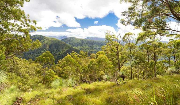 Afterlee NSW E Caravan Parks