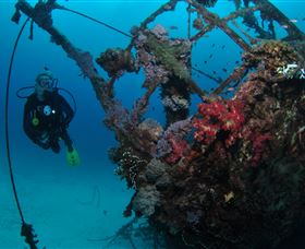Severance Shipwreck Dive Site - E Caravan Parks 0