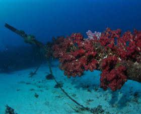 Severance Shipwreck Dive Site - E Caravan Parks 2