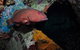 Severance Shipwreck Dive Site - thumb 1