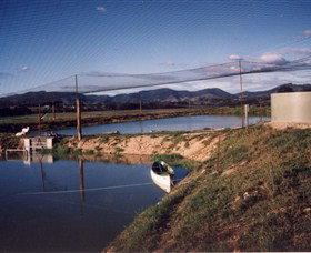 Trudgalong Farm - E Caravan Parks 1