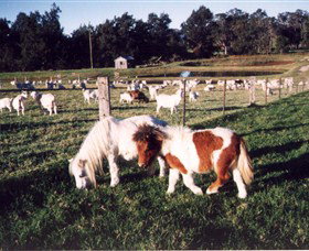 Trudgalong Farm - E Caravan Parks 0