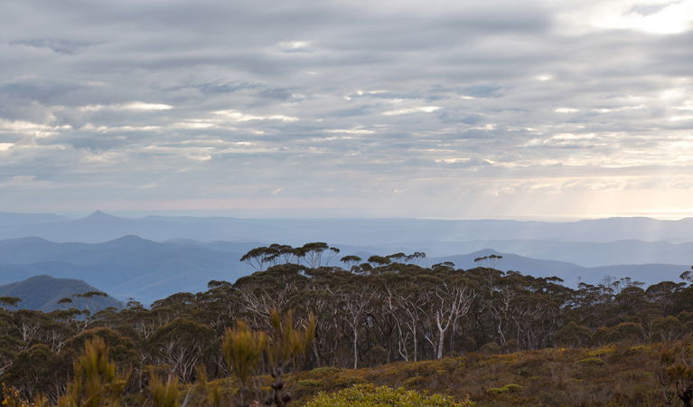 Budawang NSW E Caravan Parks
