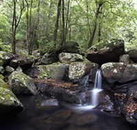 Kangaroo River - E Caravan Parks