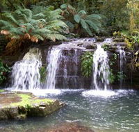 Barrington Tops National Park Walks - E Caravan Parks
