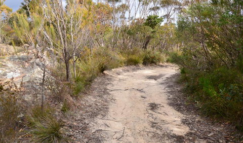 Cambewarra Range Nature Reserve - E Caravan Parks 1