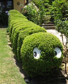 Nutcote - May Gibbs' Home - House Museum - E Caravan Parks 0