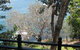 Nutcote - May Gibbs' Home - House Museum - thumb 4