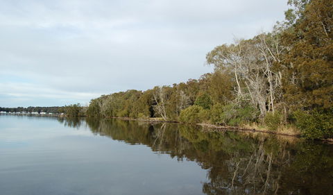 Lake Macquarie State Conservation Area - E Caravan Parks 0