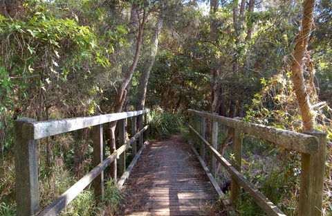 Lake Macquarie State Conservation Area - E Caravan Parks 2