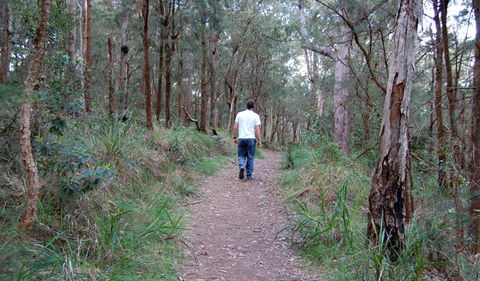 Lake Macquarie State Conservation Area - E Caravan Parks 3